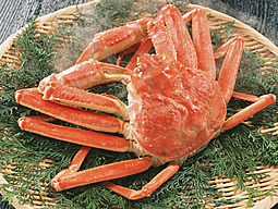 至高の味覚!お昼のかにコース