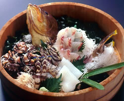 �Ă̎h�g������