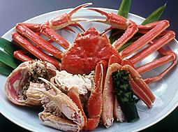 橋立・ずわいがに丸ごと一杯 フルコース